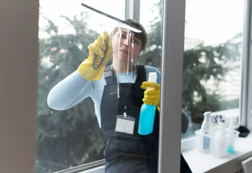 Nettoyage de vitres intérieures et extérieures à Écueillé